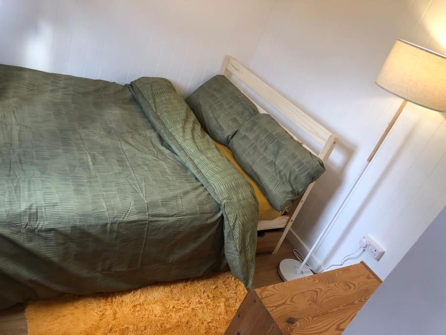 Mini Cabin In A Quiet Area ロンドン エクステリア 写真